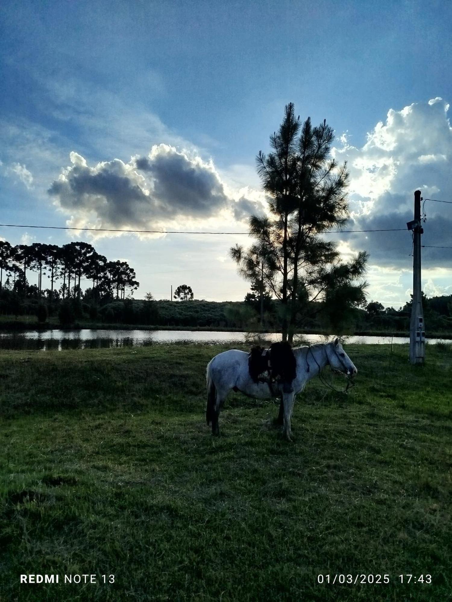 Encanto Das Araucarias Cambará Zewnętrze zdjęcie