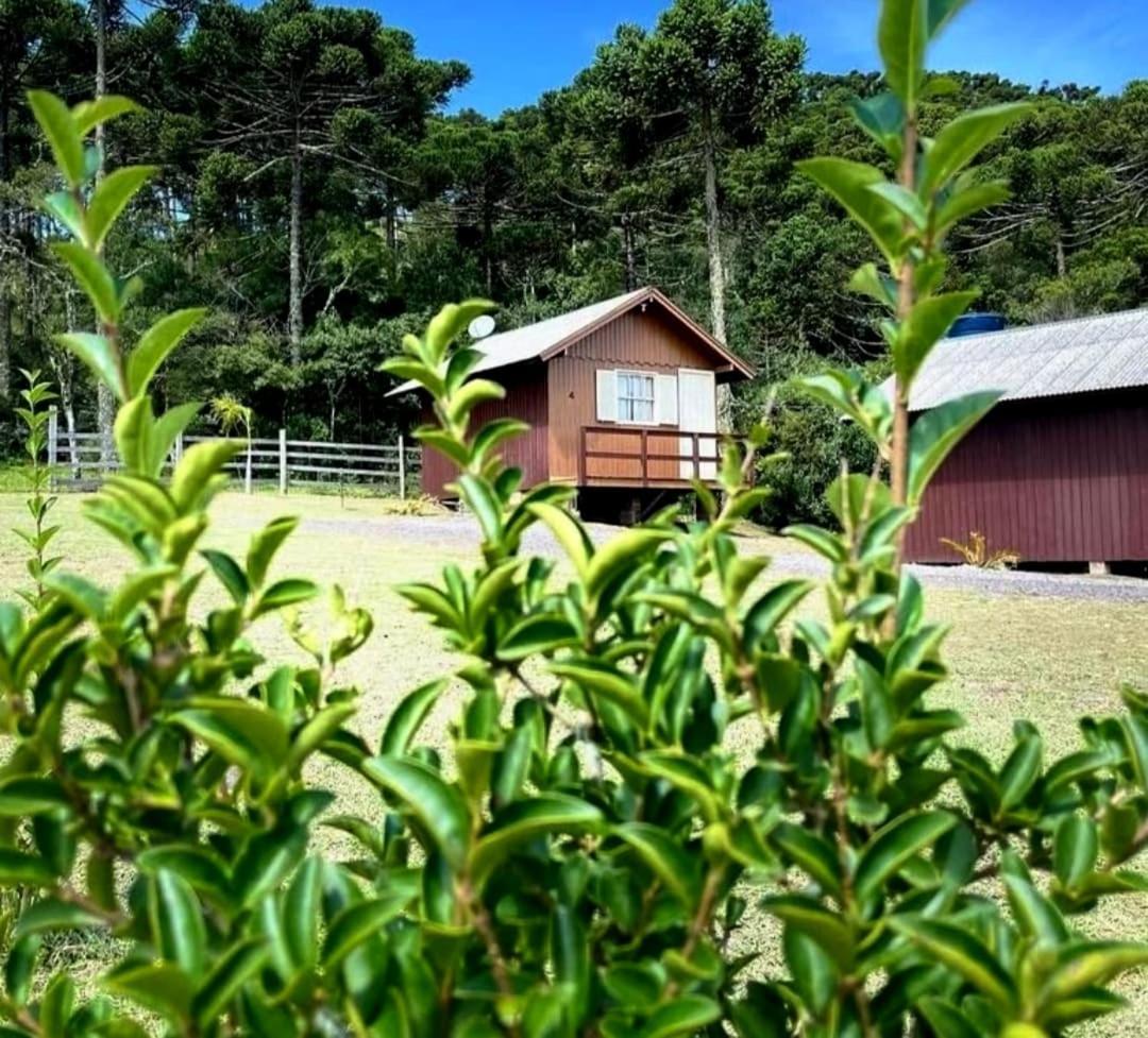 Encanto Das Araucarias Cambará Zewnętrze zdjęcie